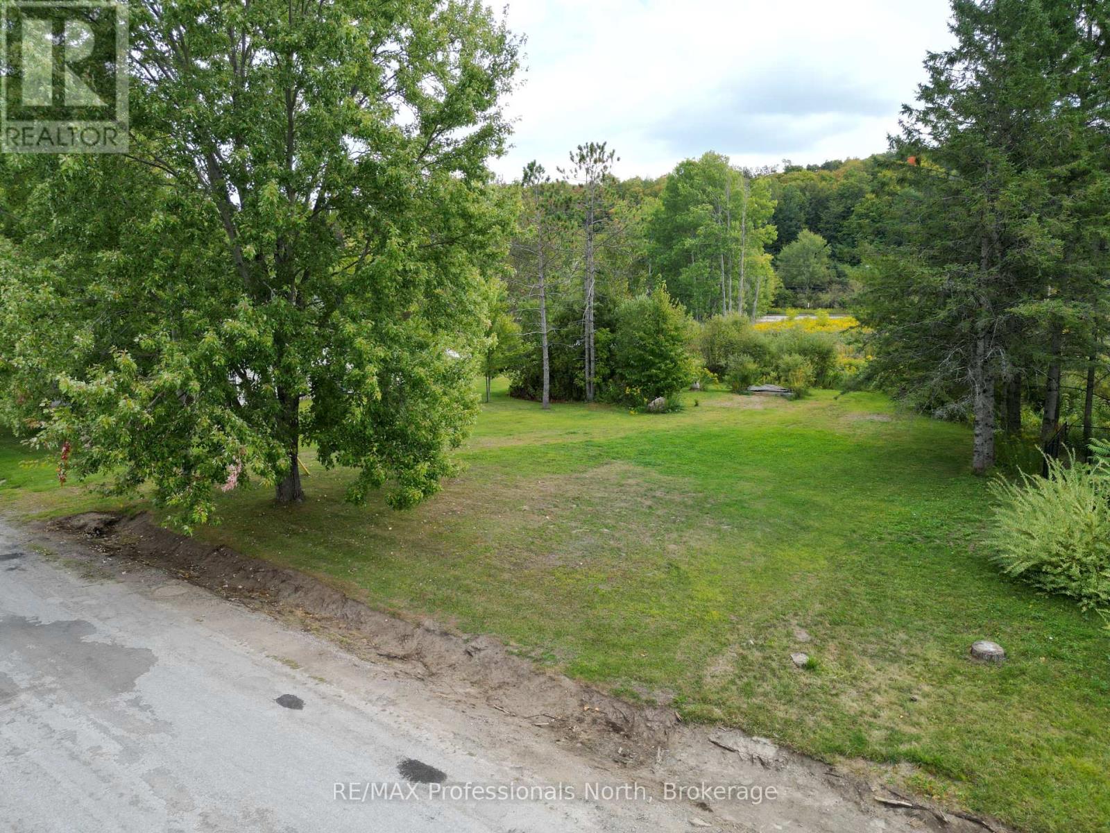 1 Anson Street, Minden Hills Anson, ON K0M 2K0