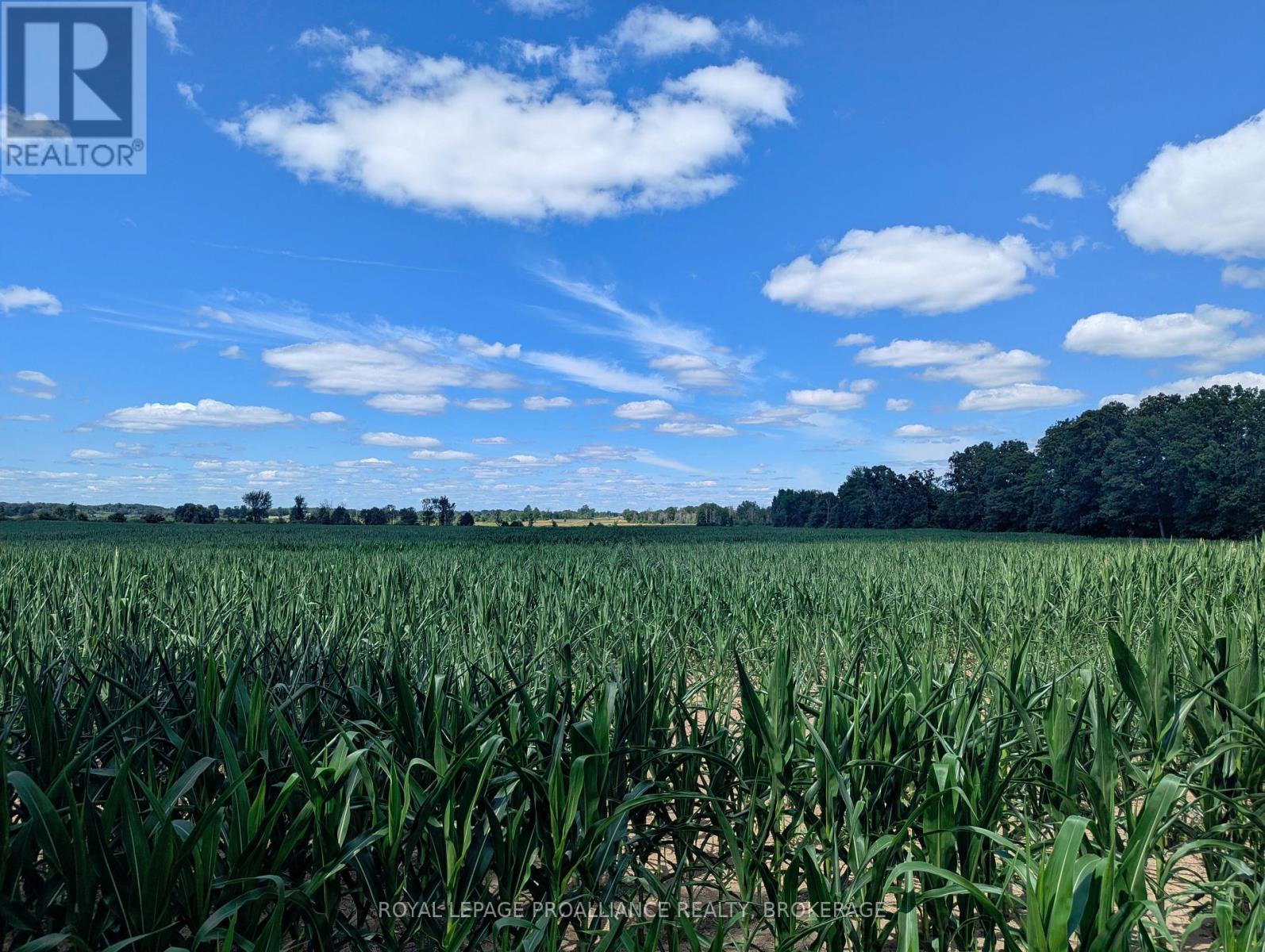 2620 4th Concession Rd, Kingston, ON K0H 1Y0