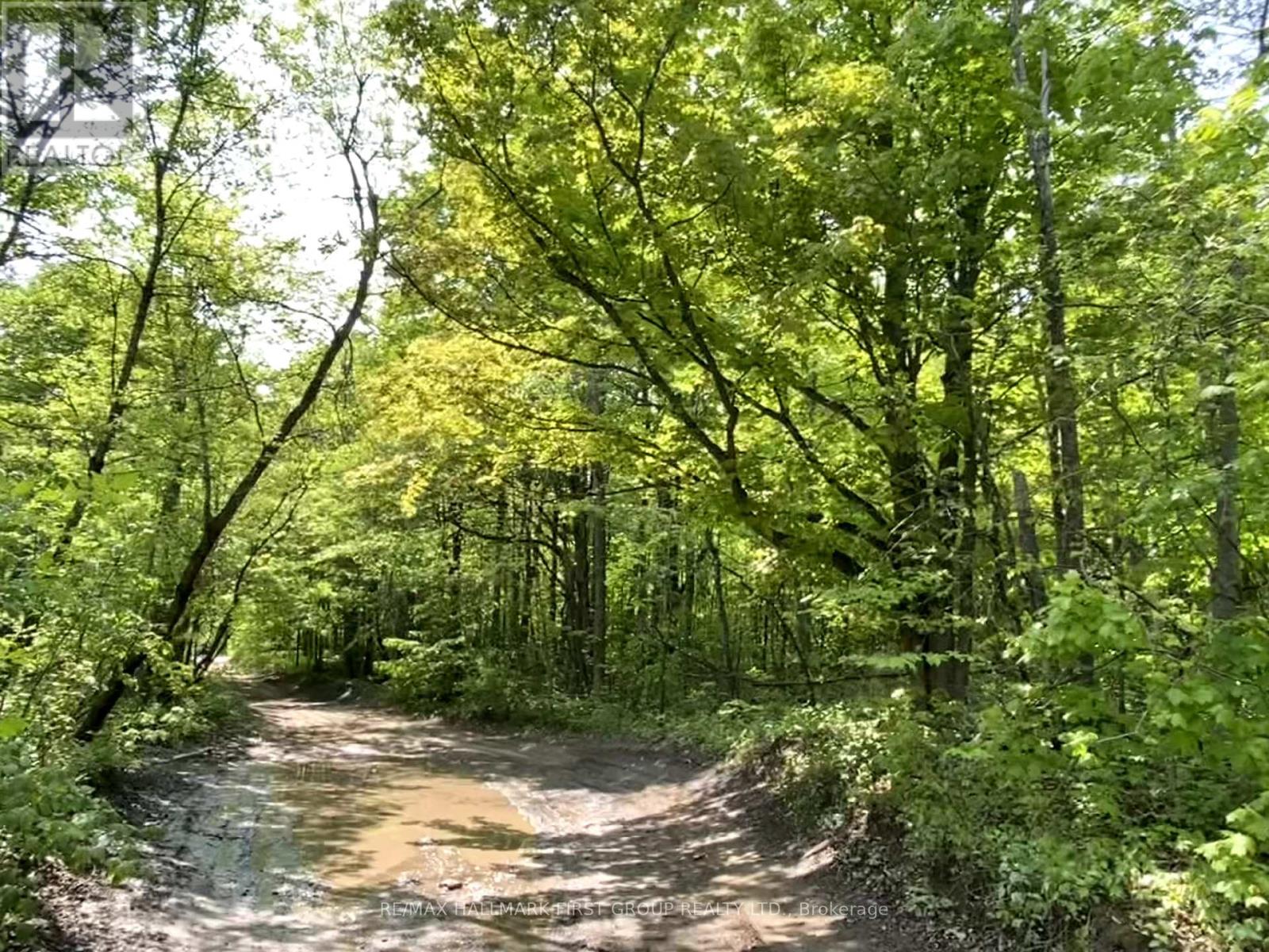 Boundary Road, Scugog, ON L9L 1B3
