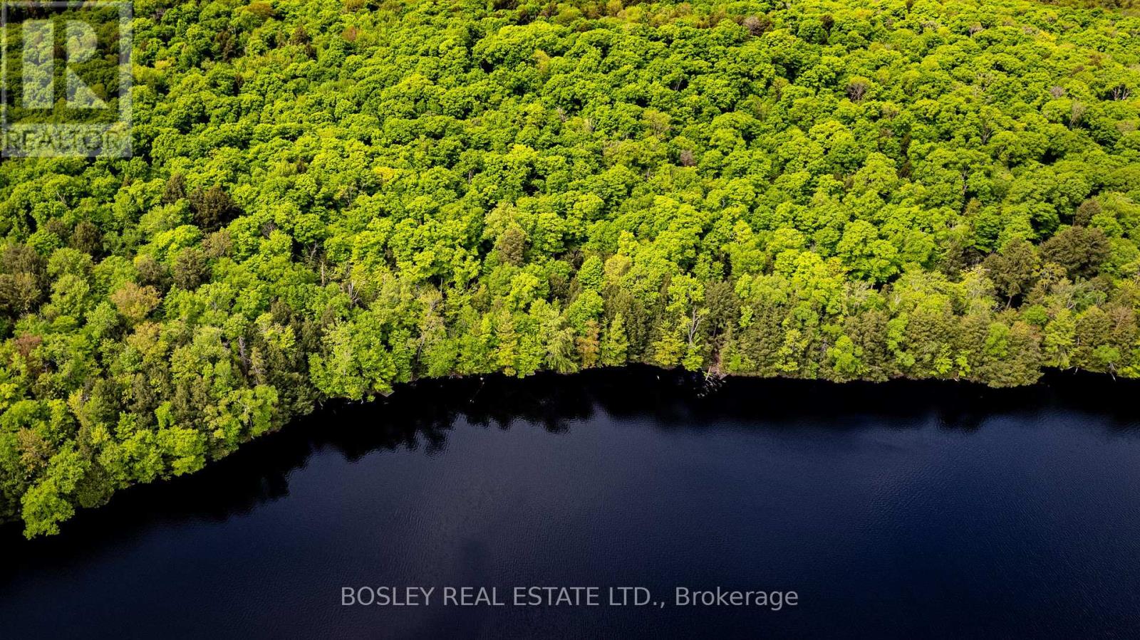 1310 Camel Lake Rd 13 6 Rd, Muskoka Lakes, ON P1L 1X4