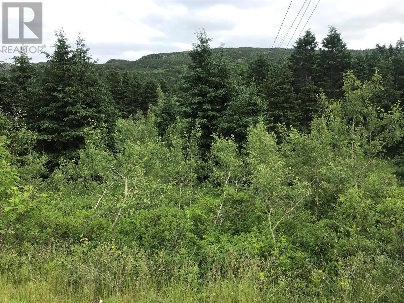 0 Snows Lane Rd, North River, NL A0A 3C0