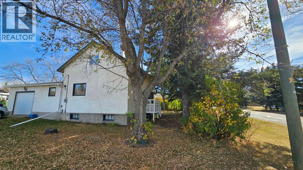 44 Street Unit 4529, Castor, AB T0C 0X0