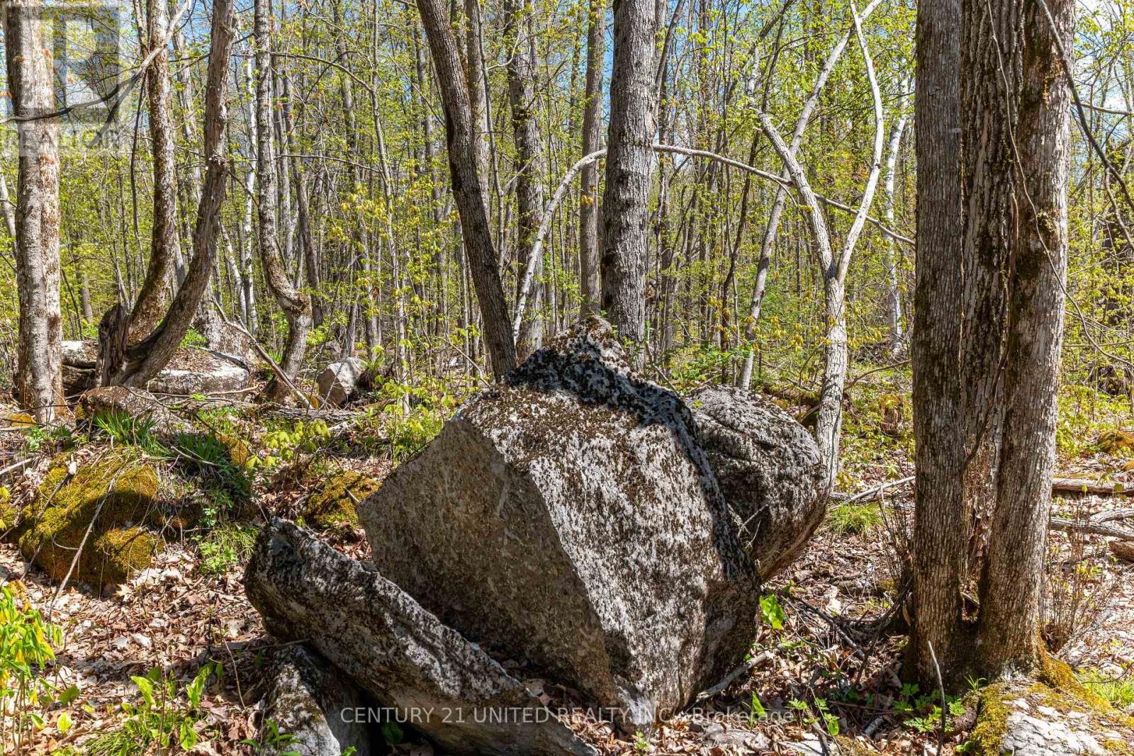 1030 Birchview Rd, Douro-Dummer, ON K0L 2H0