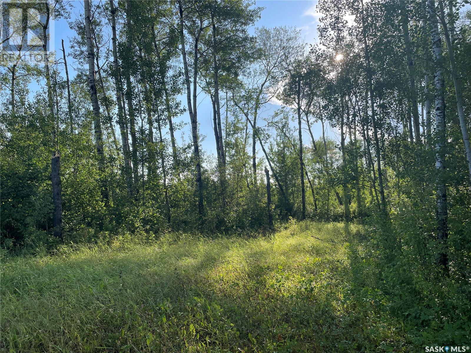 9 Northwood Crescent, Big River Rm No. 555, SK S0J 0E0