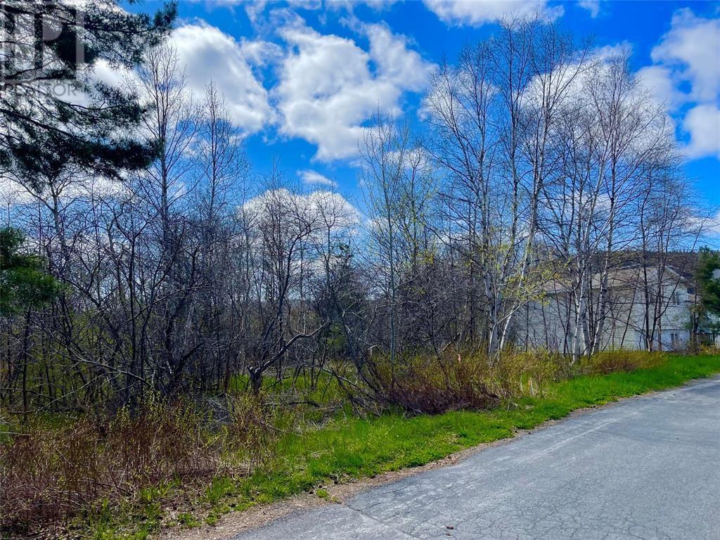 15 Barnes Rd, Clarenville, NL A5A 4C5