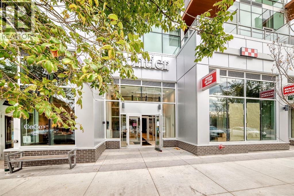 110 18a Street Nw Unit 236, Calgary, AB T2N 5G5
