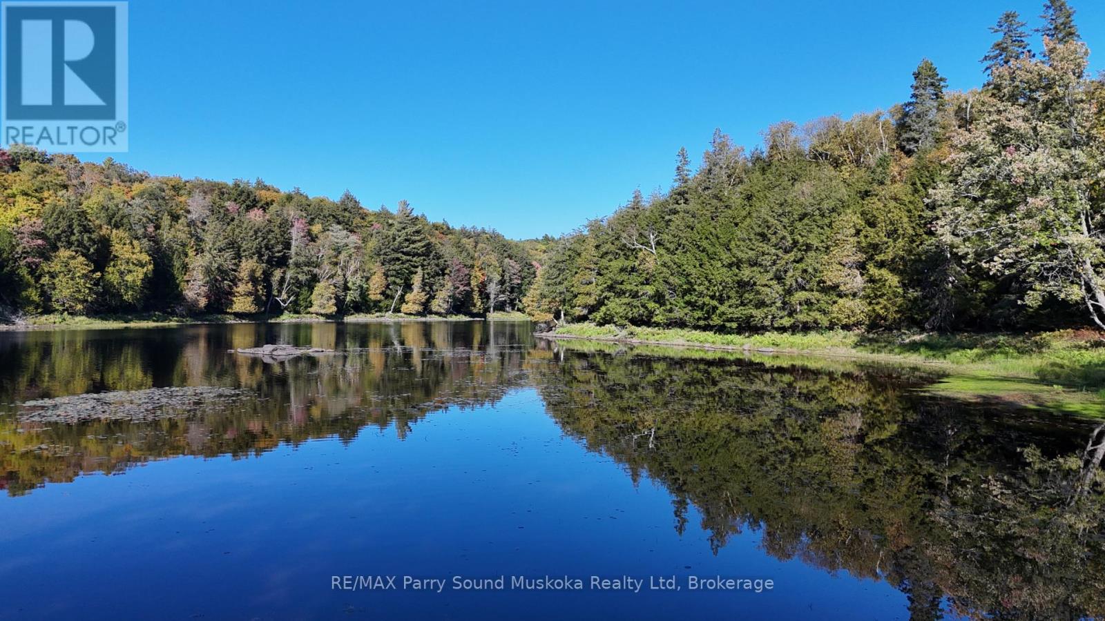 0 Nelson Clelland Rd, Magnetawan, ON P0A 1G0