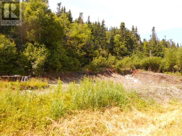 259 Main St #a, King's Point, NL A0J 1H0