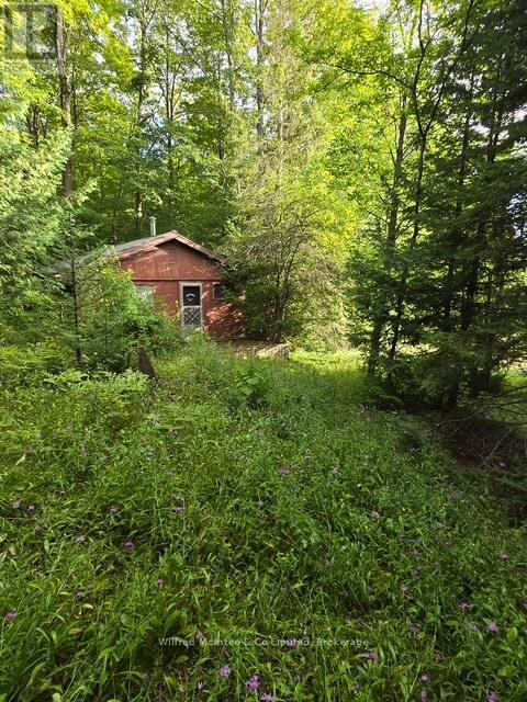 9 Side Road Unit 581650 Sideroad #a, Chatsworth, ON N0H 1K0