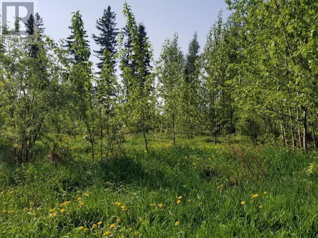 52 Avenue Sw Unit 4849, Chetwynd, BC V0C 1J0