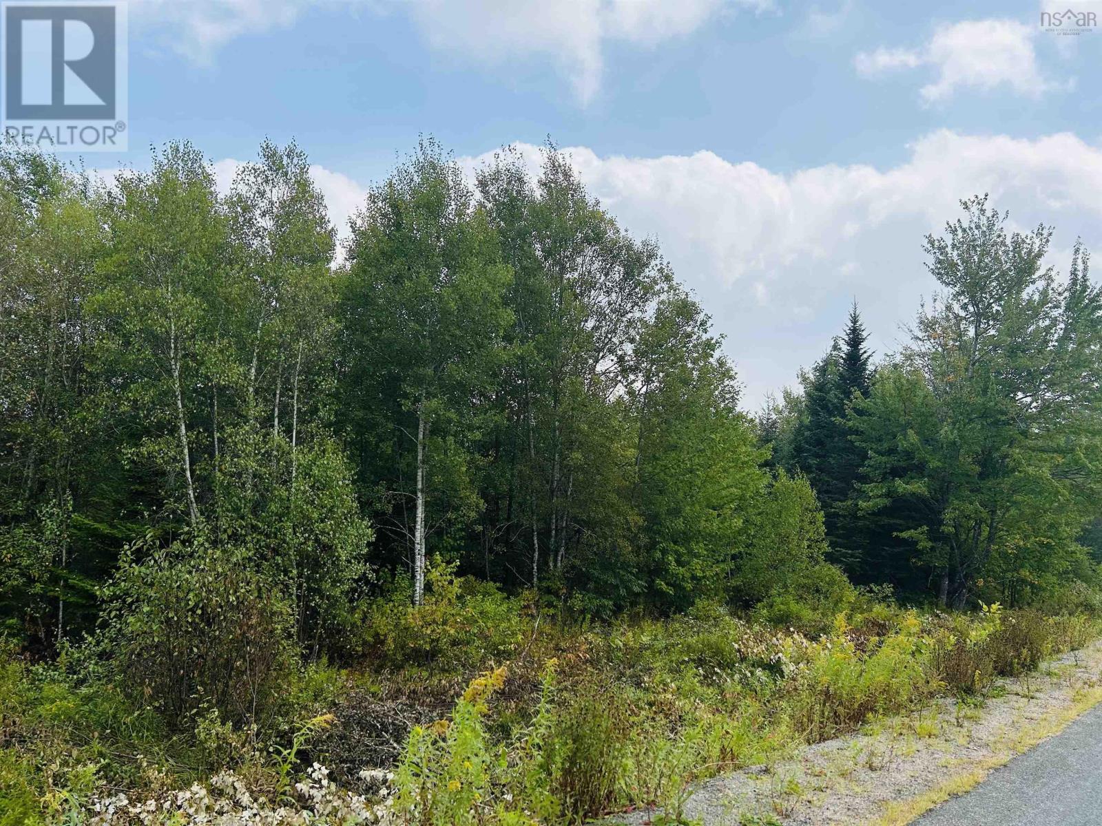 Lot Alpena Road, East Inglisville, NS B0S 1M0