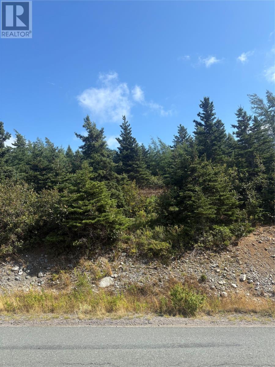 0 Jubilee Path, Brigus, NL A0A 1K0