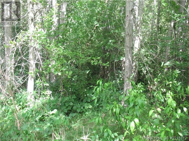 1112 Pass Creek Rd, Castlegar, BC V1N 4S1