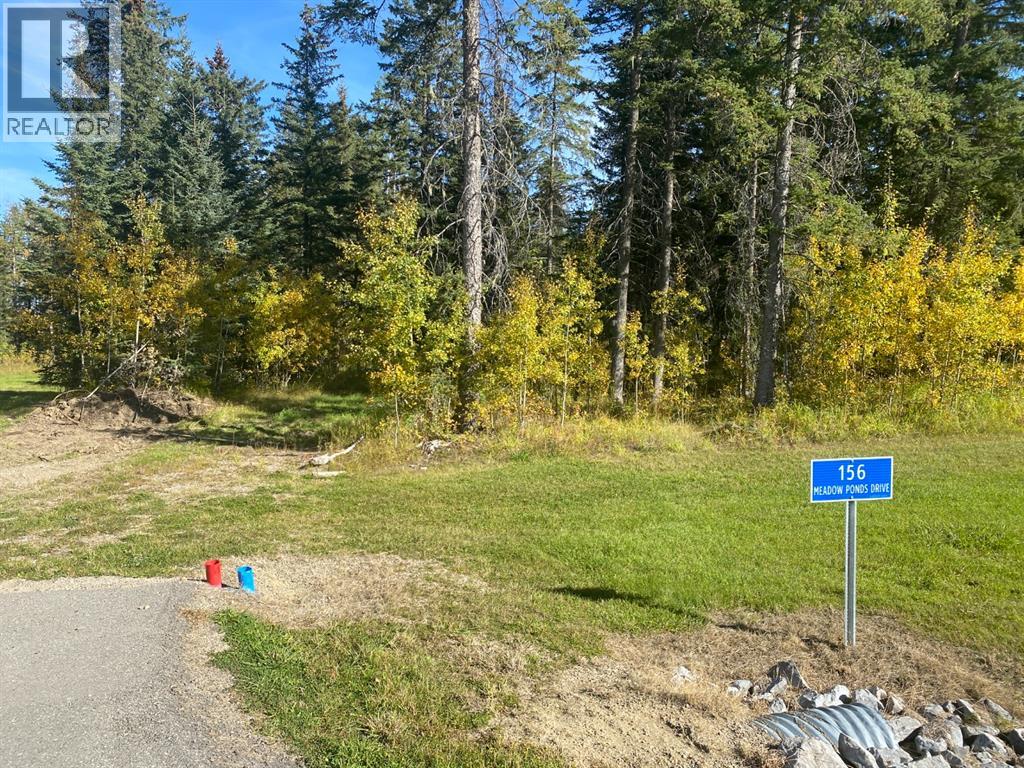 156 Meadow Ponds Dr, Rural Clearwater County, AB T4T 1A7