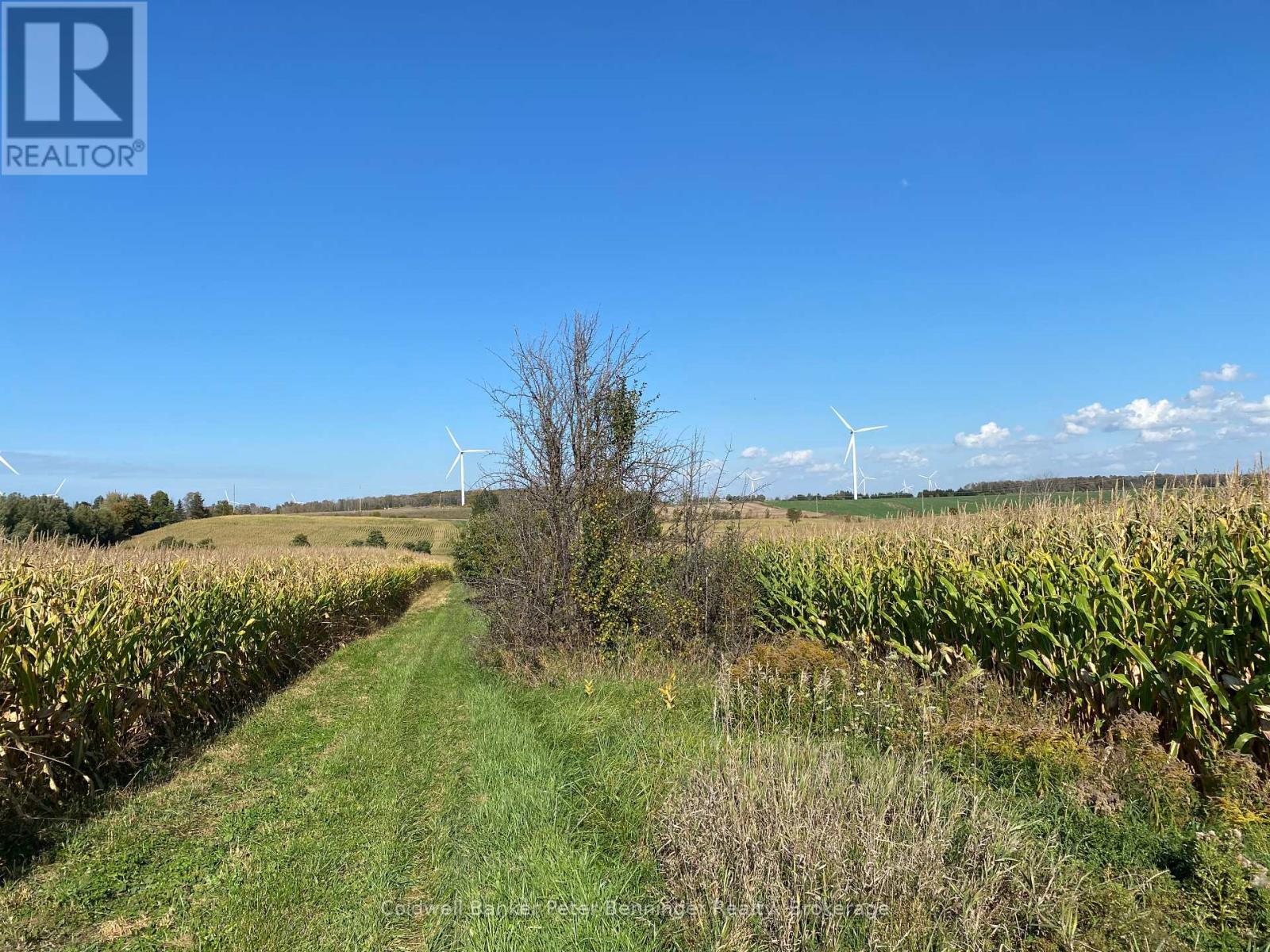 1315 Concession 8 Concession Cors, Kincardine, ON N0G 2T0