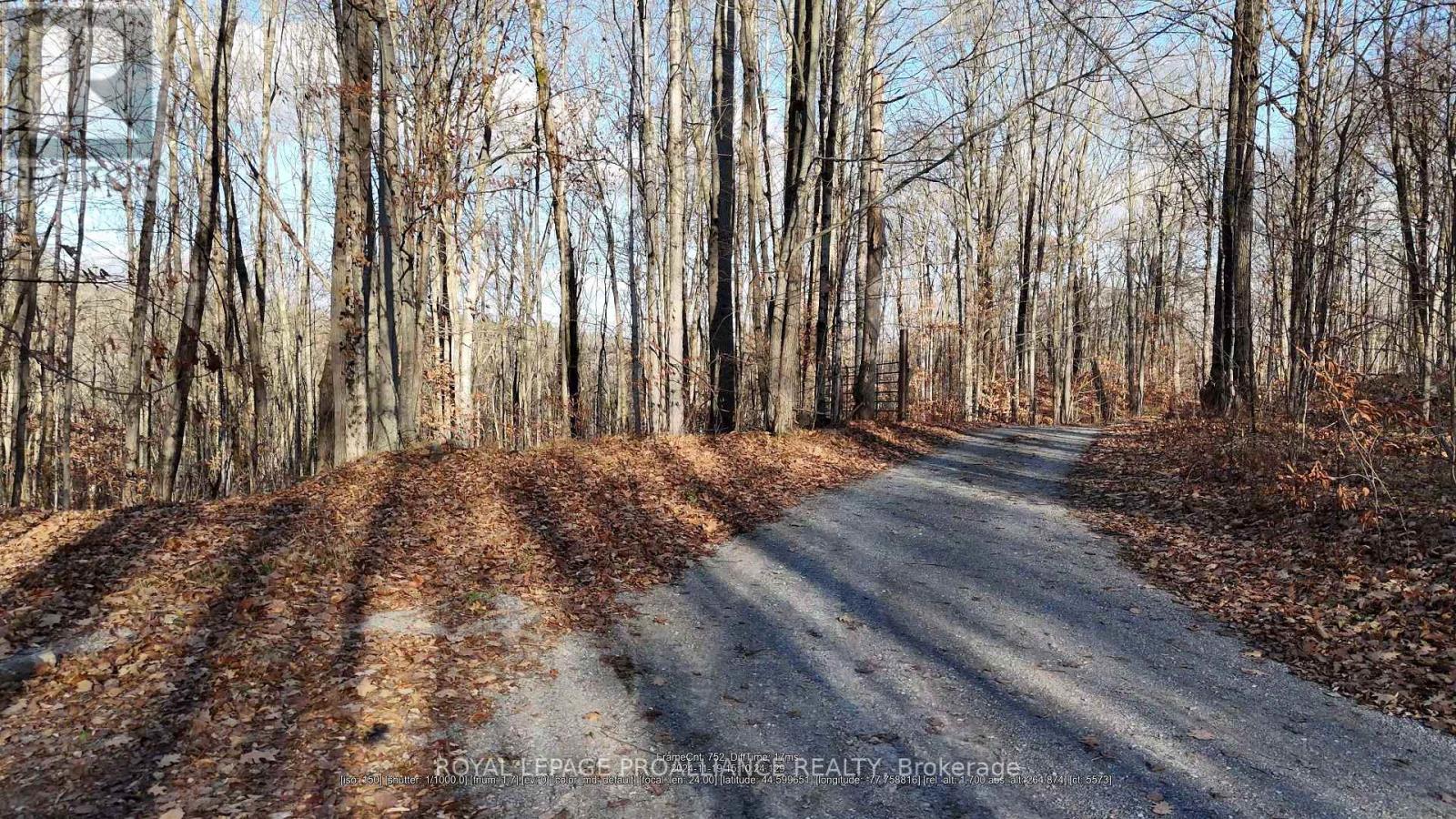 1098 Twin Sisters Lake Rd N, Marmora And Lake Marmora Ward, ON K0K 2M0