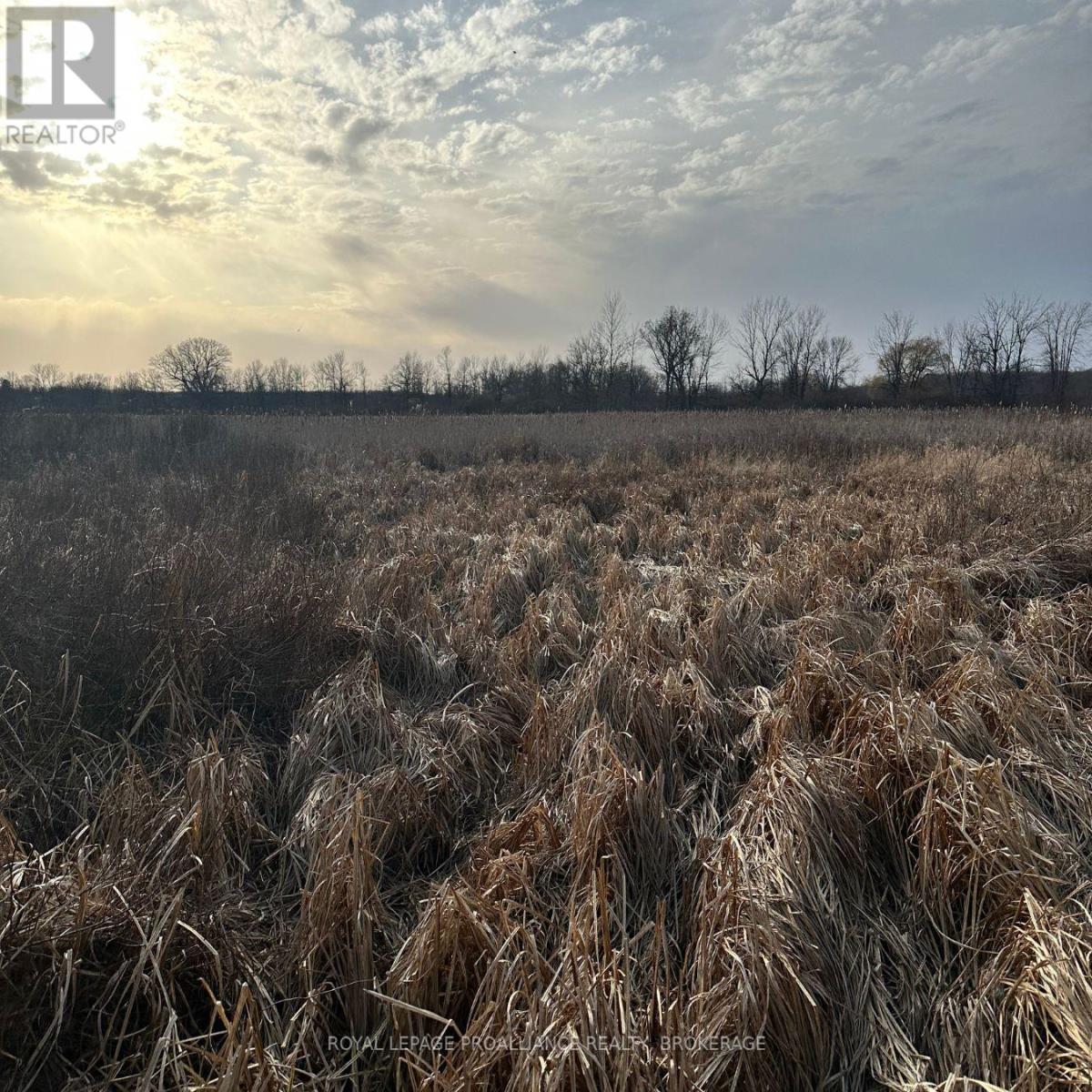 68 Third Concession Rd, Loyalist, ON K0H 2S0