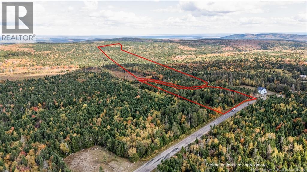 000 Sawmilll Creek Rd, Caledonia Mountain, NB E4H 0B3