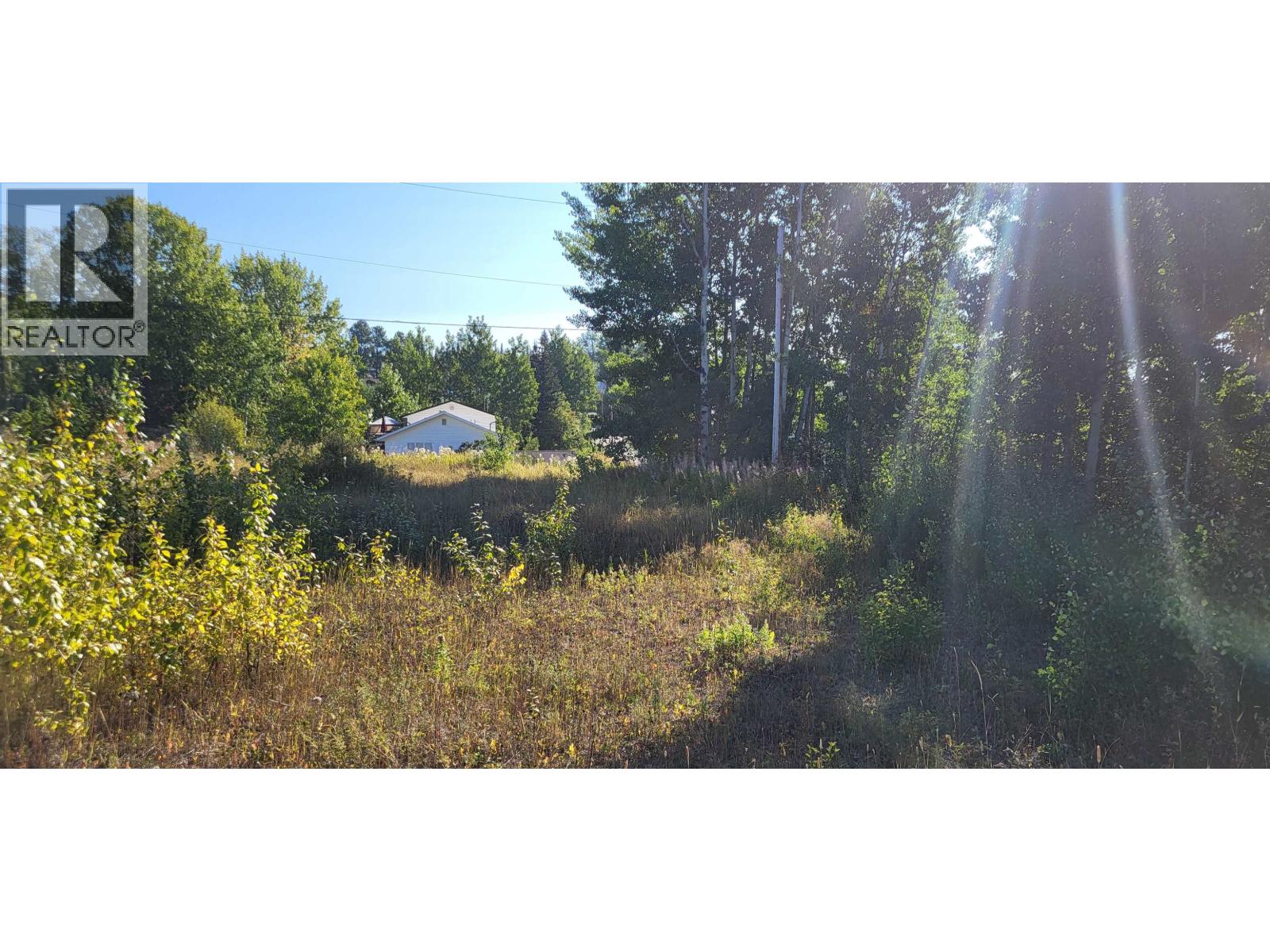 253 1 Avenue, Burns Lake, BC V0J 1E0