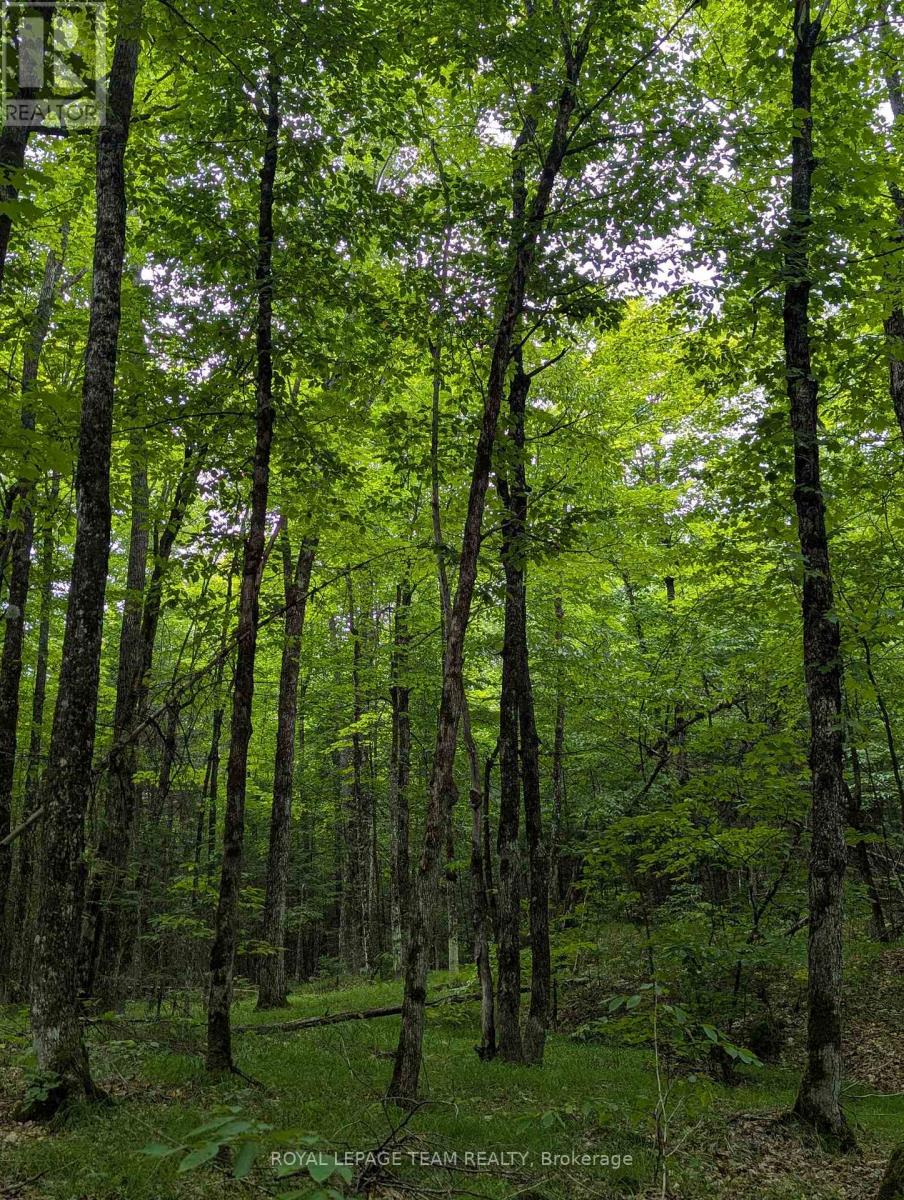 00 Triple Tower Rd, Lanark Highlands, ON K0G 1K0