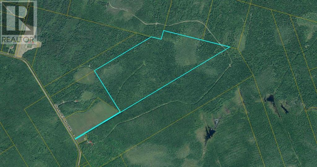 Lot 651 St Lazare Road, Champ Dore, NB E4S 2P1