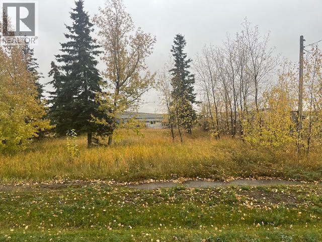 50 Avenue Unit 5023, Woking, AB T0H 3G0