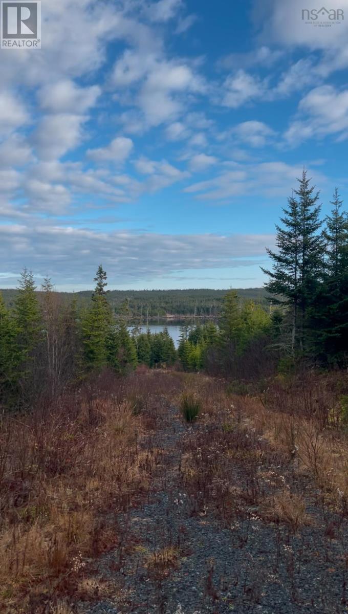 21 W Liscomb Point Rd #-2, West Liscomb, NS B0J 2A0