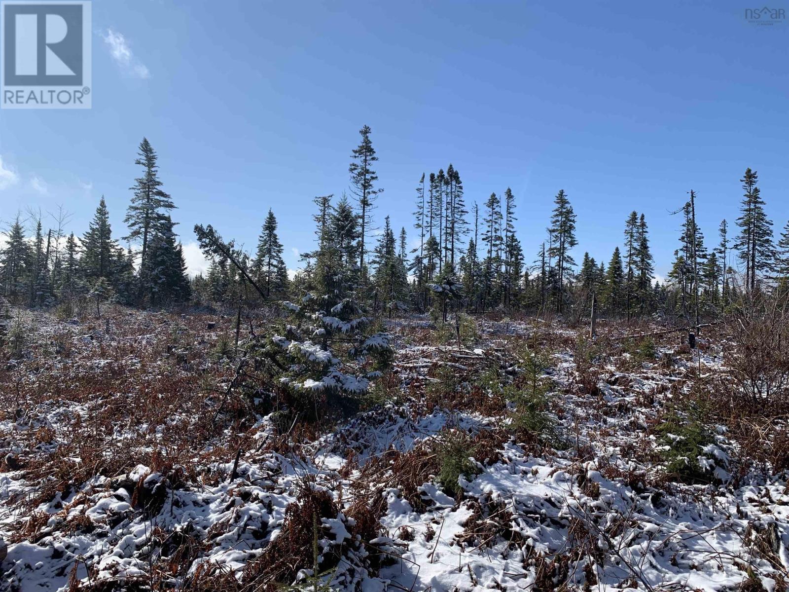 Lot 5 Acre Palmer Road|wentworth Valley Preserve, Wentworth Valley, NS B0M 1Z0