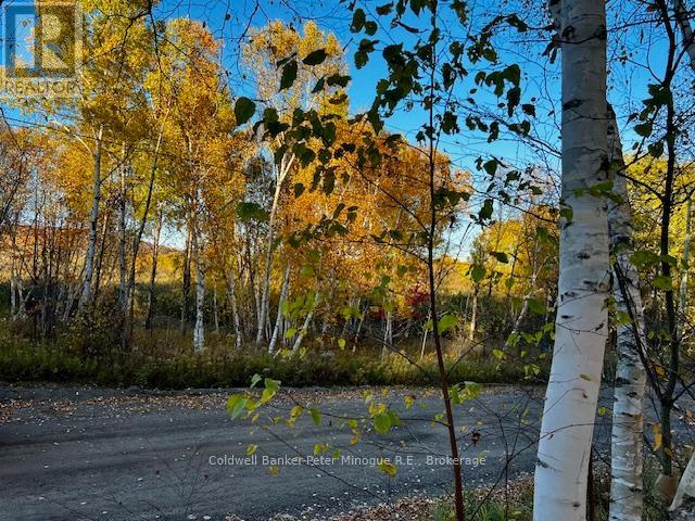 16 Seymour St, North Bay, ON P1B 8G4