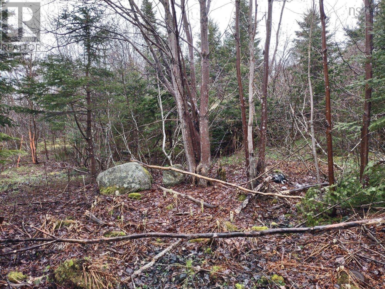 1218 St Margarets Bay Rd, Beechville, NS B3N 1J8