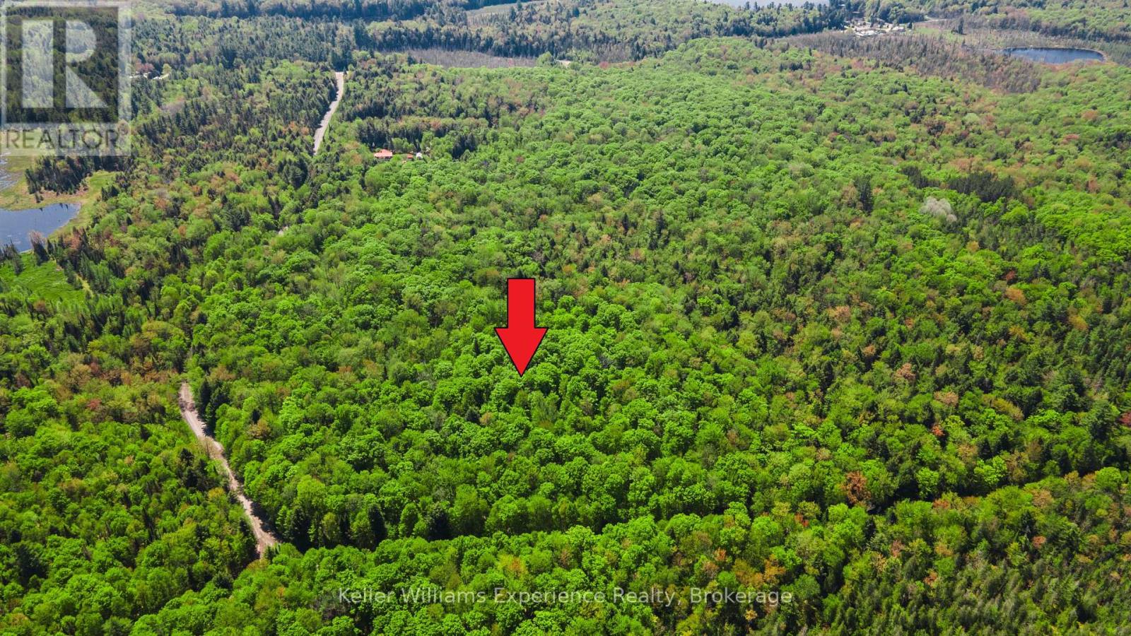 0 Healey Lake Rd, Bracebridge Macaulay, ON P1L 1X3