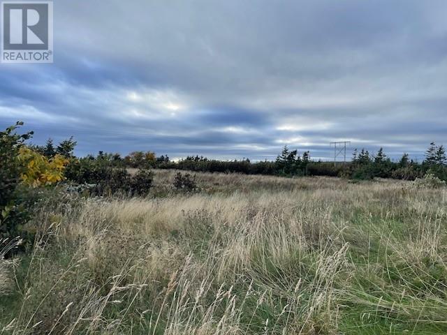 4 Gabriel Dr, Port Au Port East, NL A0N 1T0