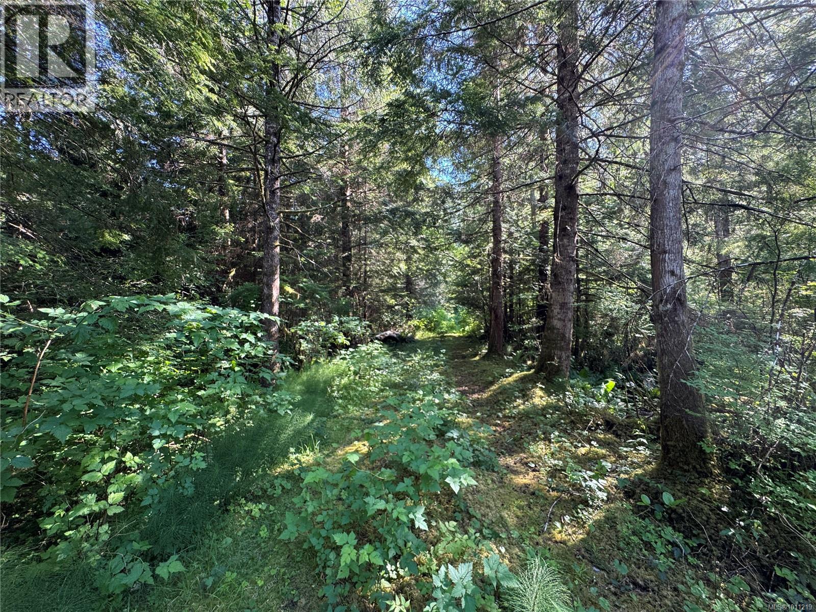 779 Sayward Rd, Sayward, BC V0P 1R0