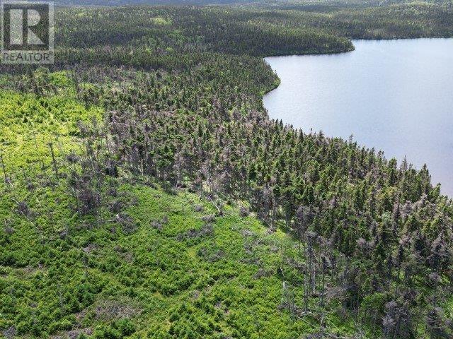1 Peytons Pond, Pouch Cove, NL A0A 3L0