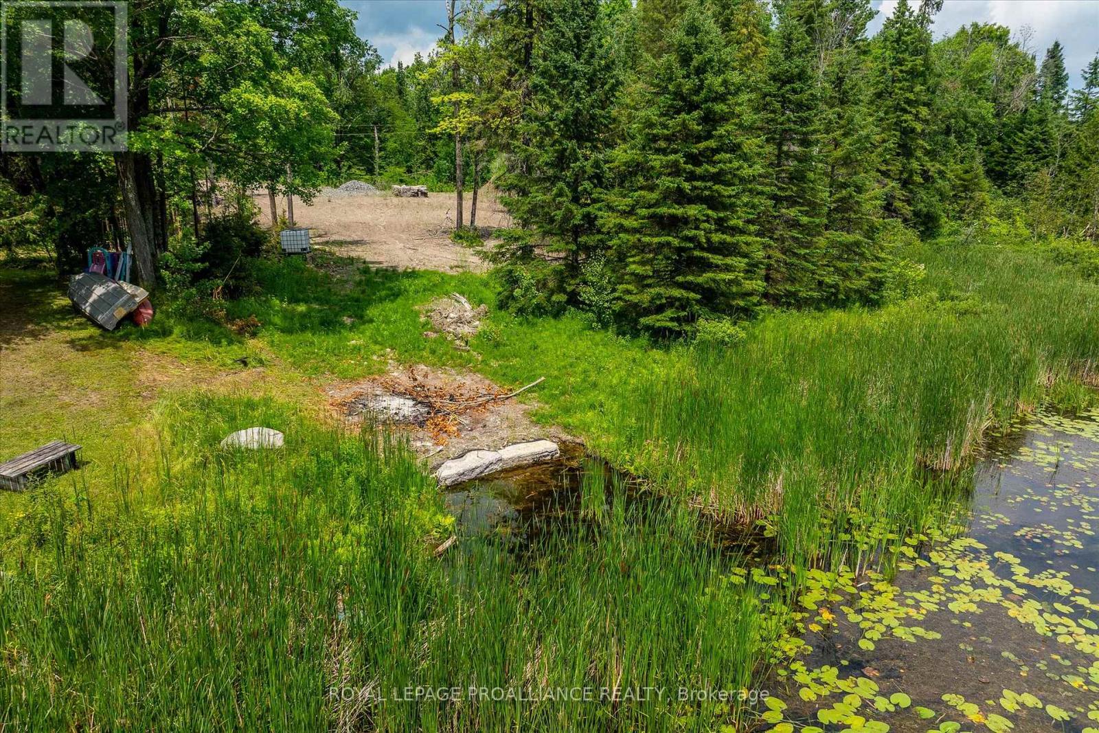 0 Pearce Rd, Kawartha Lakes Bexley, ON K0M 2B0