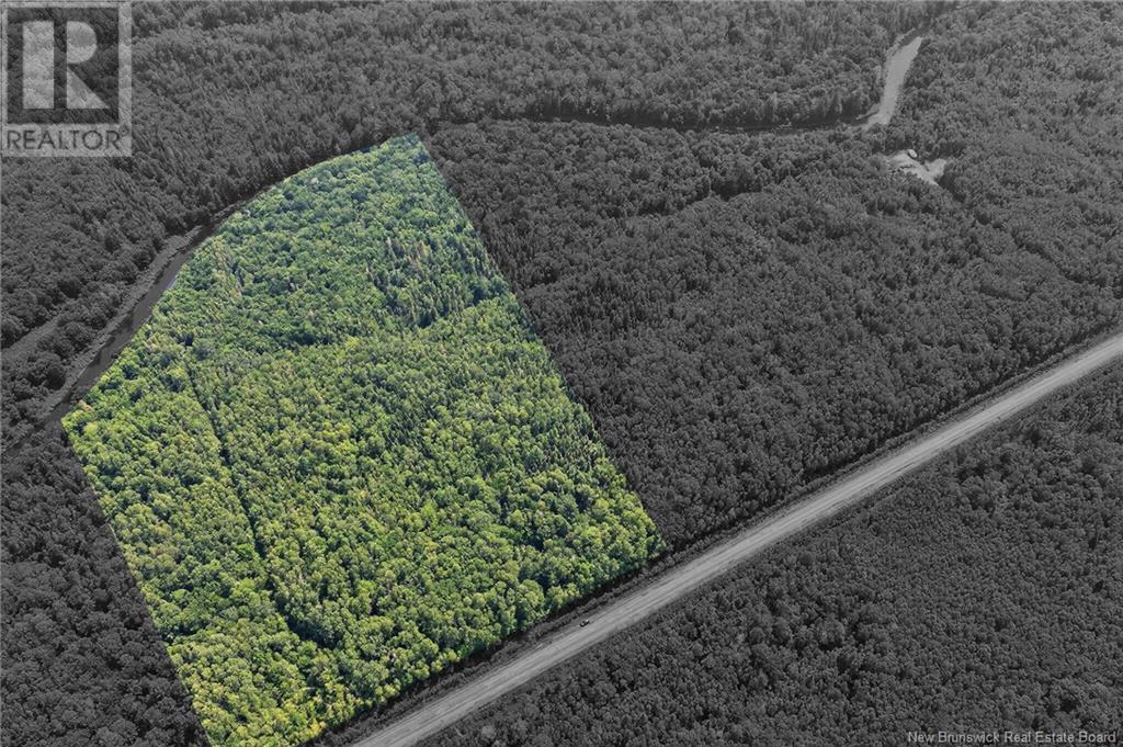 Lot Salmon River Road, Harcourt, NB E4T 3W8