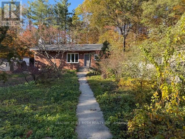 86 Doran Rd, Springwater, ON L0L 1X0