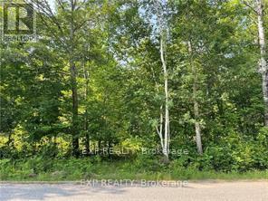 Lot C Parcher Road, Madawaska Valley, ON K0J 1B0