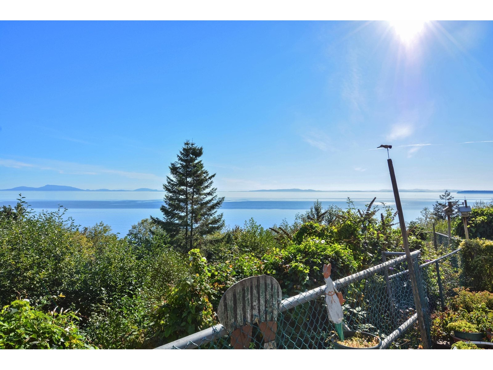 13 Avenue Unit 12816, Surrey, BC V4A 1B4