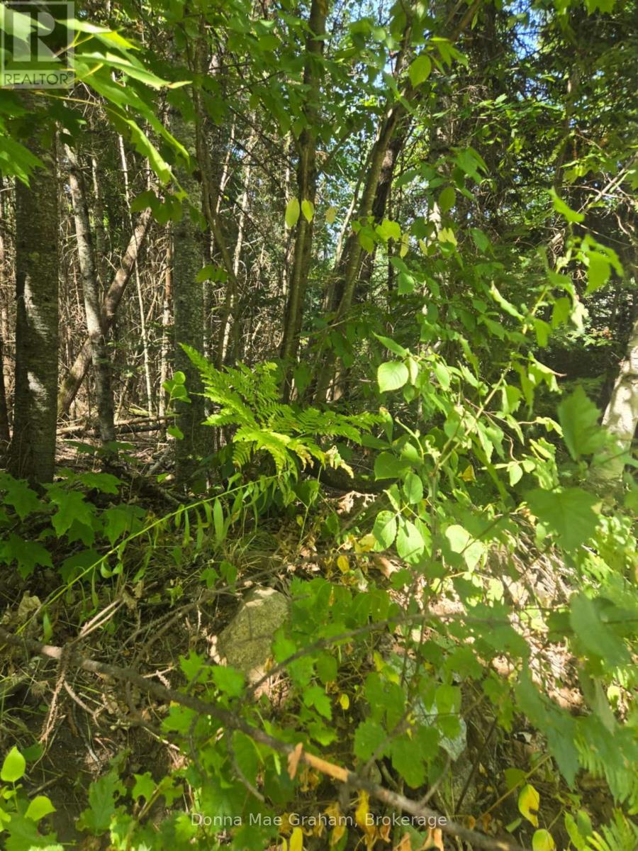 0 Macduff Road Acres E, Highlands East Monmouth, ON K0L 3C0