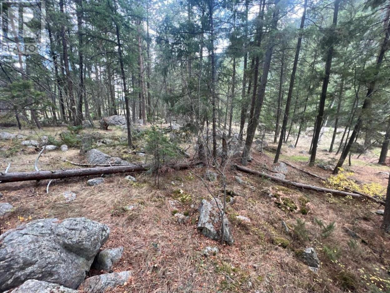 2267 Old Hedley Rd, Princeton, BC V0X 1W0