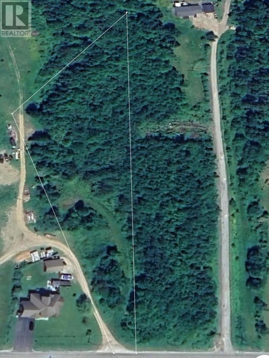 98 Goose Arm Rd, Deer Lake, NL A8A 3H7