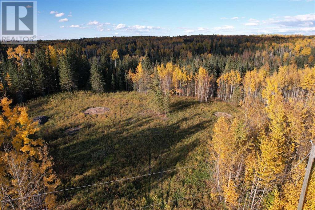 Lot 5 114046 Township 590, Rural Woodlands County, AB T7S 0A1