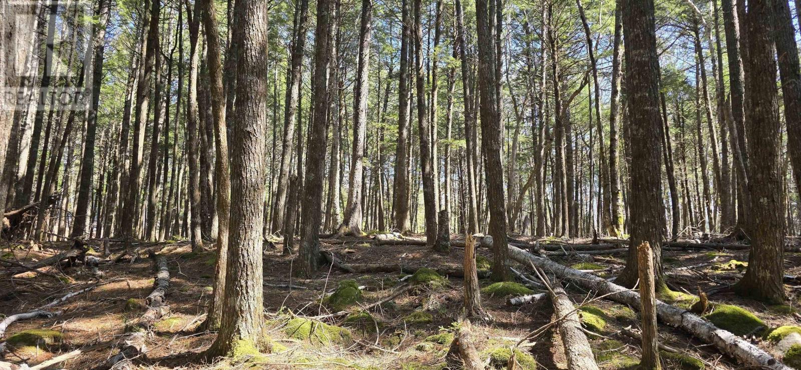 Lot 3 Beaver Row, Labelle, NS B0T 1E0