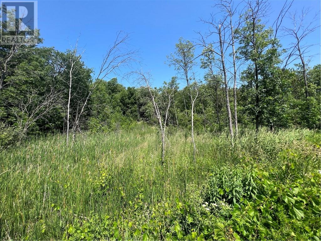 12 Cockburn W St, Northeastern Manitoulin and the Islands, ON P0P 1K0