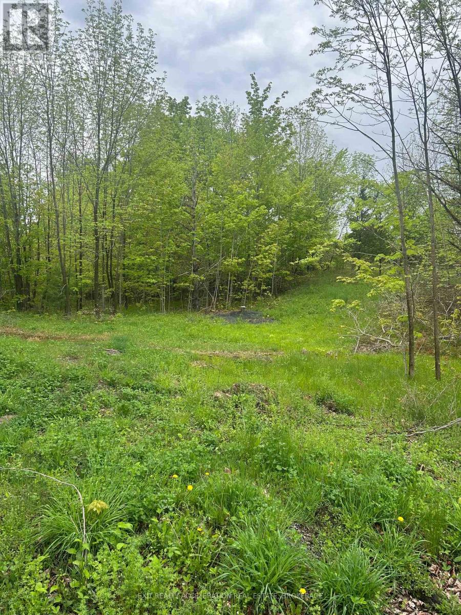 0 Bradshaw Rd, Frontenac Frontenac South, ON K0H 2V0