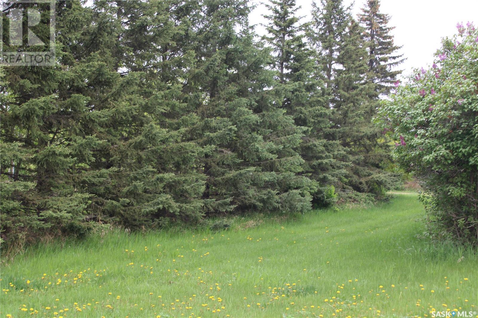 730 Broadway Street W, Orkney Rm No. 244, SK S3N 0P3