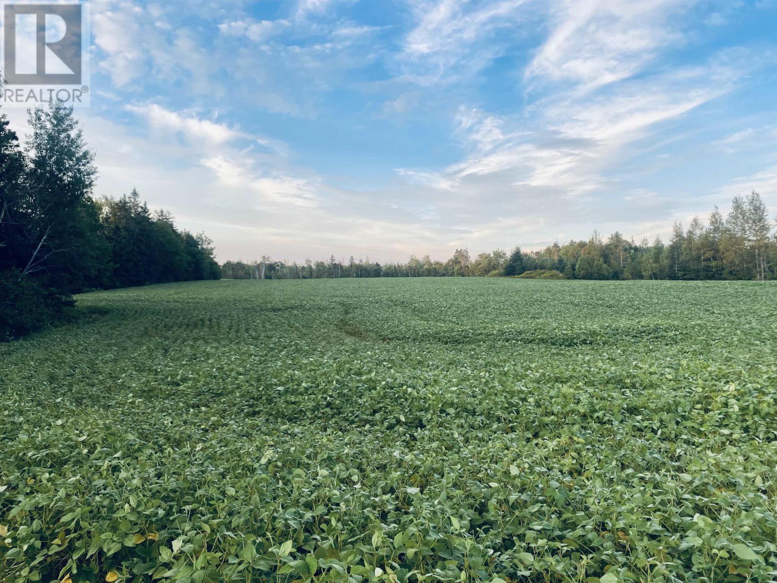 Lot Seven Mile Road|route 4, Cardross, PE C0A 1G0