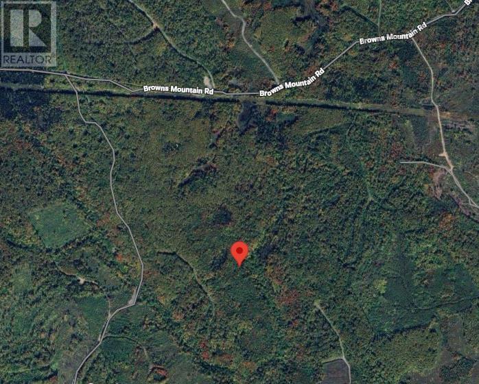 73 Acres Browns Mountain Road, Browns Mountain, NS B2G 2K9