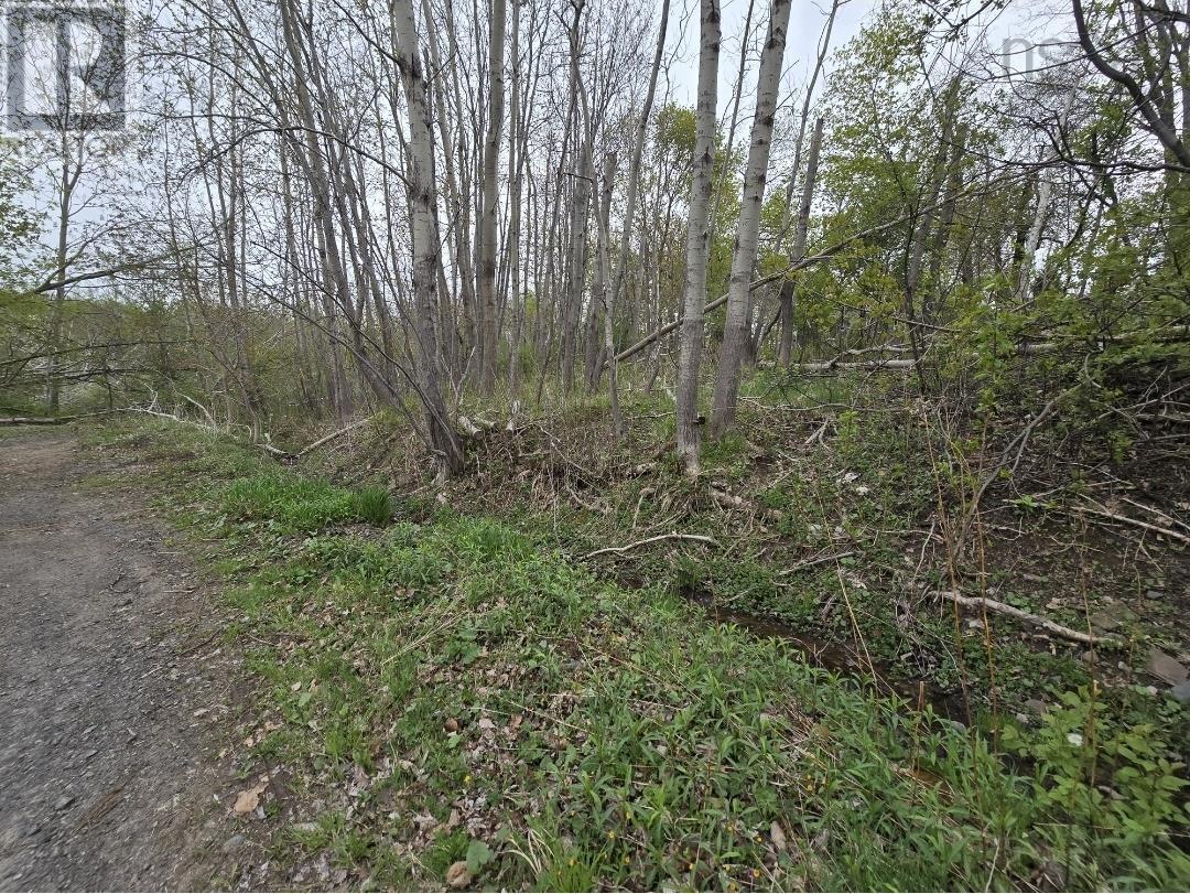 Brook Street, Trenton, NS B0K 1X0